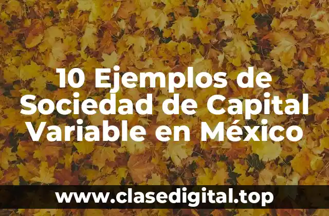 10 Ejemplos de Sociedad de Capital Variable en México