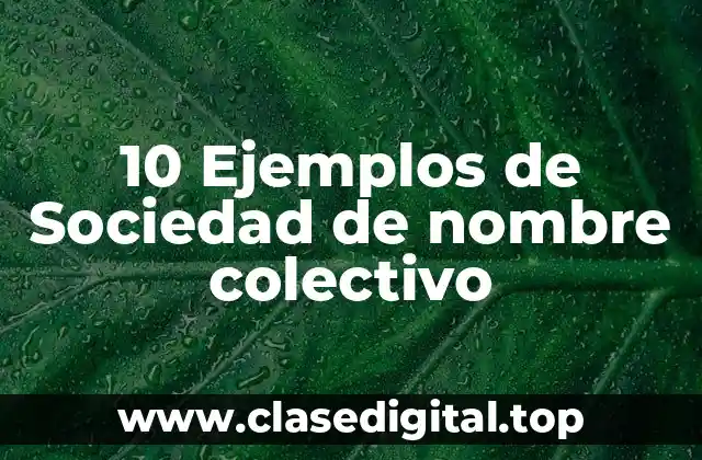 10 Ejemplos de Sociedad de nombre colectivo