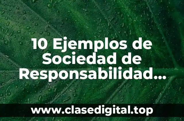 10 Ejemplos de Sociedad de Responsabilidad Limitada Argentina