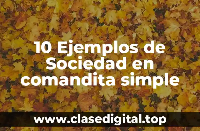 10 Ejemplos de Sociedad en comandita simple