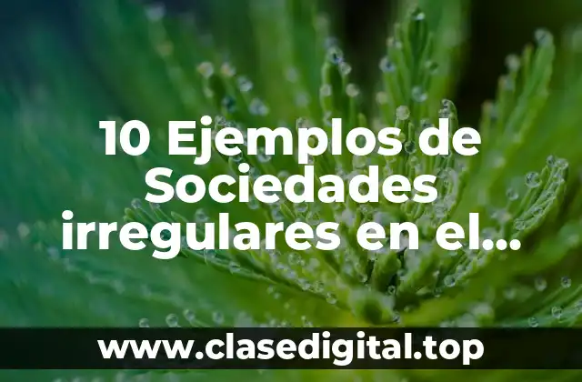 Ejemplos de Sociedades Irregulares