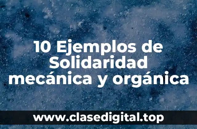 10 Ejemplos de Solidaridad mecánica y orgánica