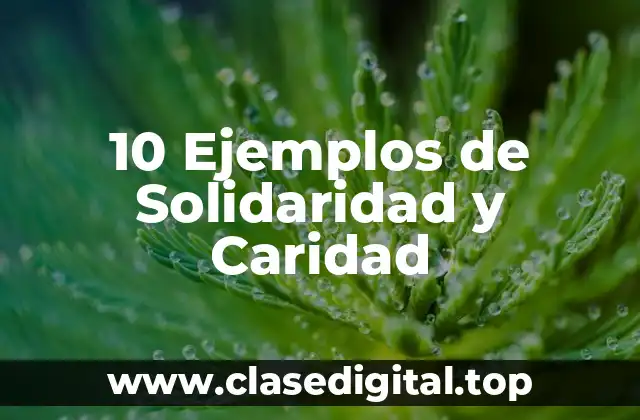 10 Ejemplos de Solidaridad y Caridad