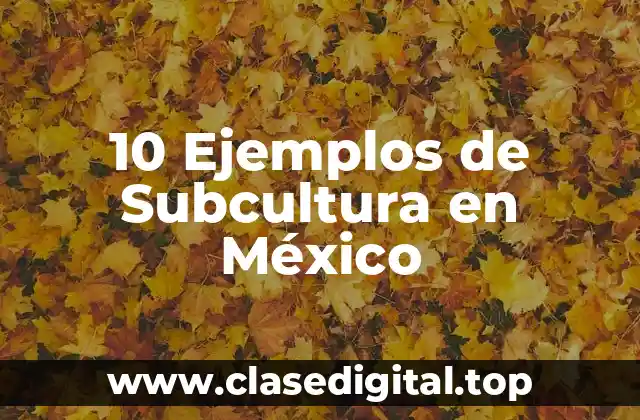 10 Ejemplos de Subcultura en México