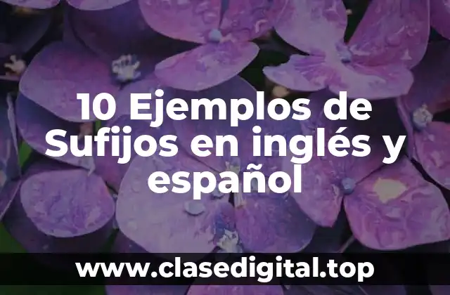 10 Ejemplos de Sufijos en inglés y español