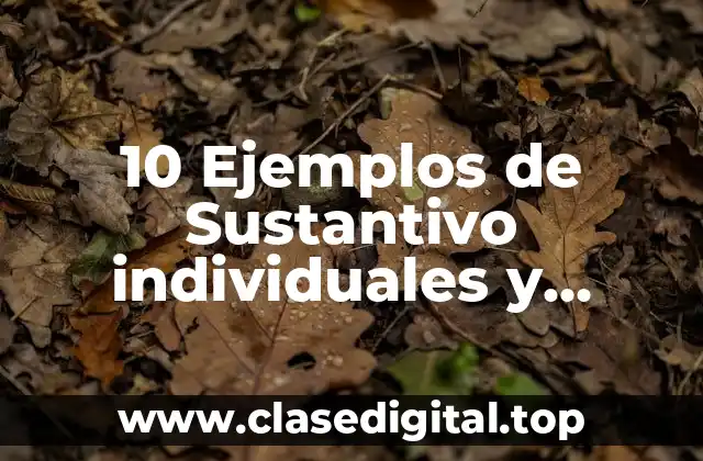 Ejemplos de sustantivos individuales y colectivos