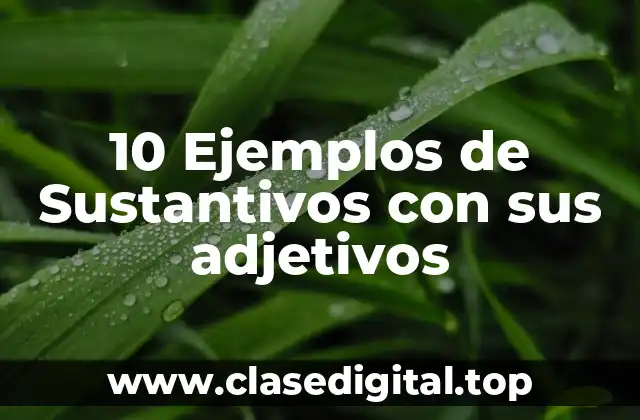 10 Ejemplos de Sustantivos con sus adjetivos