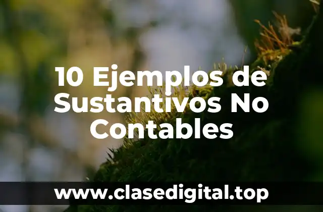 10 Ejemplos de Sustantivos No Contables