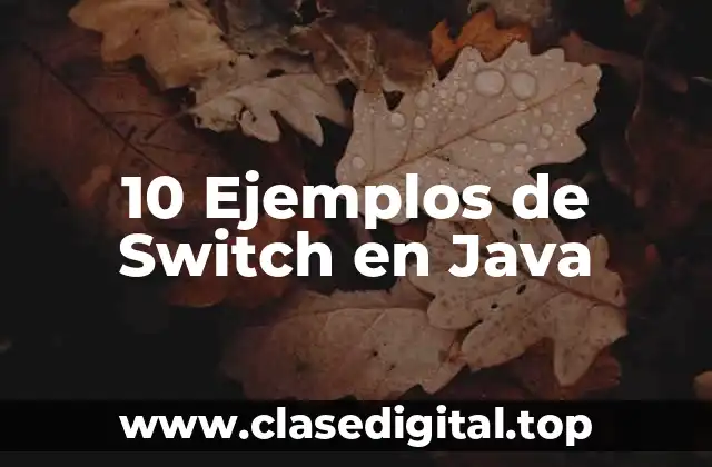 10 Ejemplos de Switch en Java