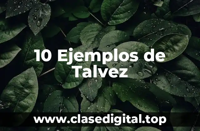 10 Ejemplos de Talvez