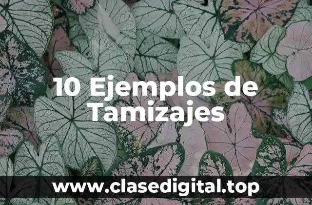10 Ejemplos de Tamizajes