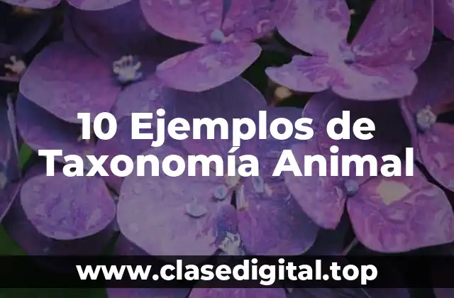 10 Ejemplos de Taxonomía Animal