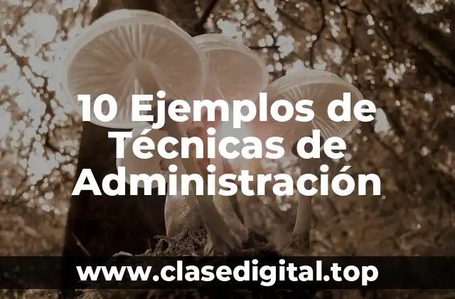 10 Ejemplos de Técnicas de Administración
