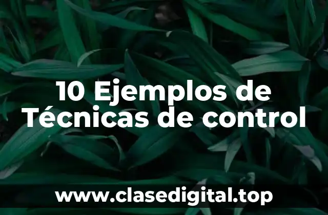 10 Ejemplos de Técnicas de control