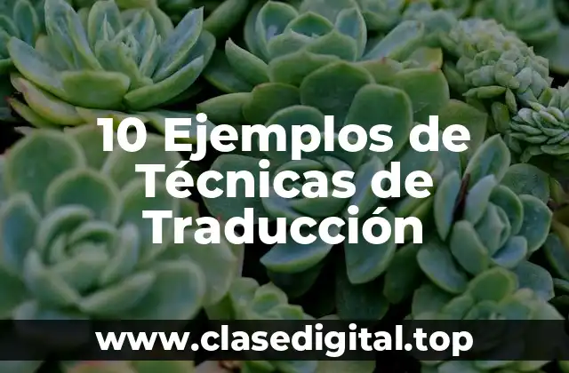 10 Ejemplos de Técnicas de Traducción