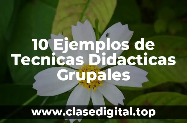 10 Ejemplos de Tecnicas Didacticas Grupales