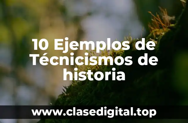 10 Ejemplos de Técnicismos de historia