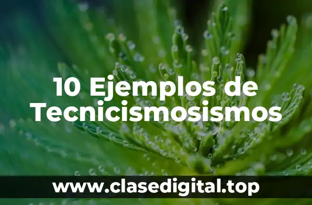 10 Ejemplos de Tecnicismosismos