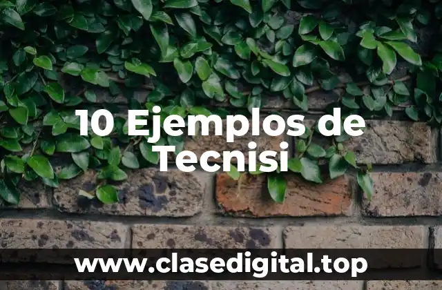 10 Ejemplos de Tecnisi