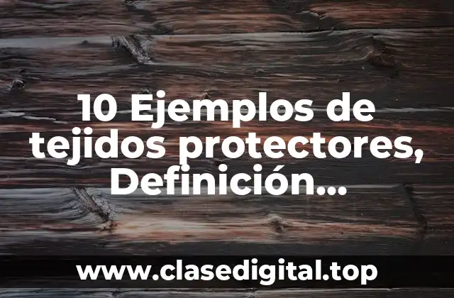 10 Ejemplos de tejidos protectores, Definición, Diferencias y para que sirve