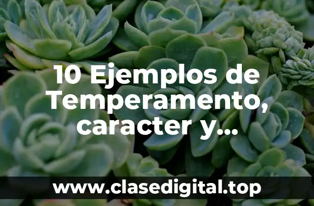 10 Ejemplos de Temperamento, caracter y personalidad