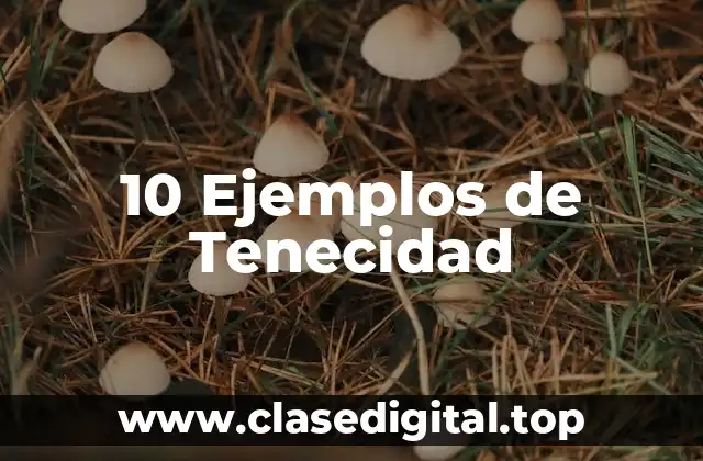 Ejemplos de Tenecidad