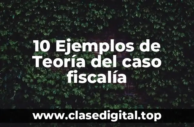 Ejemplos de teoría del caso fiscalía