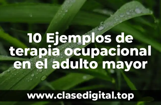 10 Ejemplos de terapia ocupacional en el adulto mayor