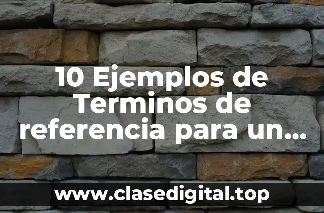 10 Ejemplos de Terminos de referencia para un proyecto