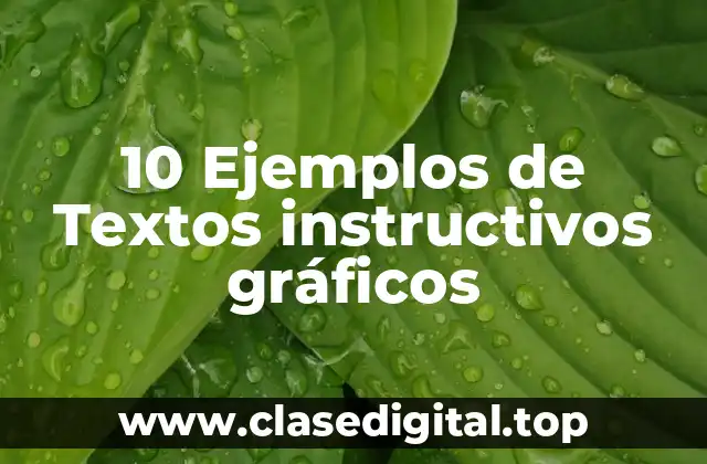 10 Ejemplos de Textos instructivos gráficos