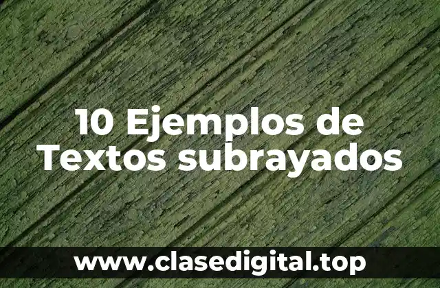 10 Ejemplos de Textos subrayados