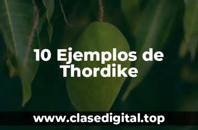 10 Ejemplos de Thordike