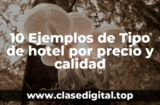 Ejemplos de tipos de hoteles por precio y calidad