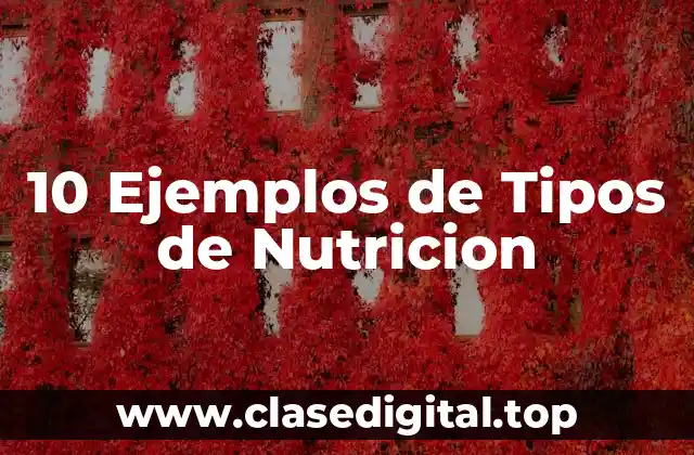 10 Ejemplos de Tipos de Nutricion
