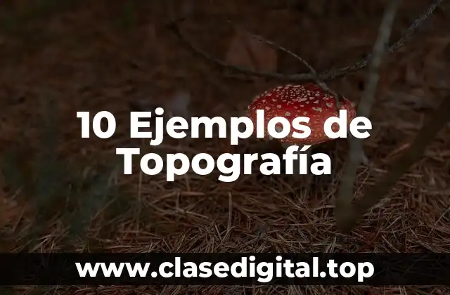 Ejemplos de Topografía