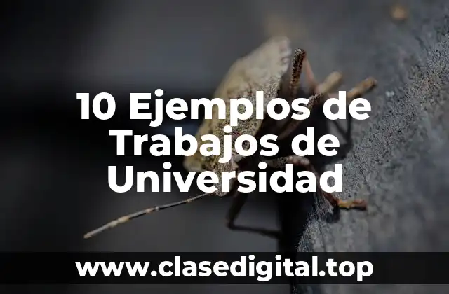 10 Ejemplos de Trabajos de Universidad