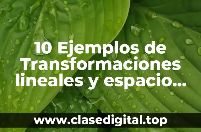 10 Ejemplos de Transformaciones lineales y espacio nulo