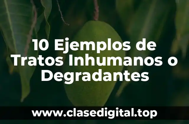 10 Ejemplos de Tratos Inhumanos o Degradantes