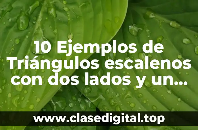 10 Ejemplos de Triángulos escalenos con dos lados y un ángulo