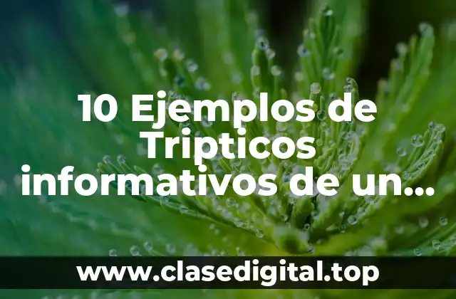10 Ejemplos de Tripticos informativos de un botiquin de primeros auxilios