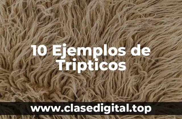 10 Ejemplos de Tripticos