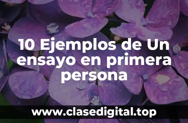 10 Ejemplos de Un ensayo en primera persona