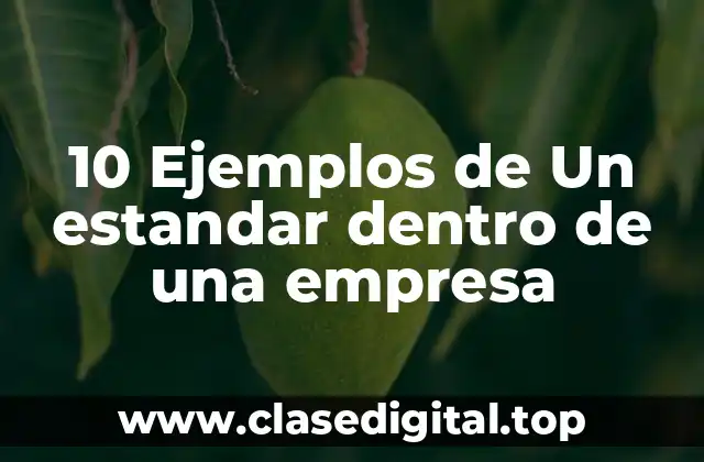 Ejemplos de estándares dentro de una empresa