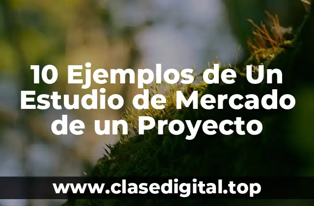 10 Ejemplos de Un Estudio de Mercado de un Proyecto