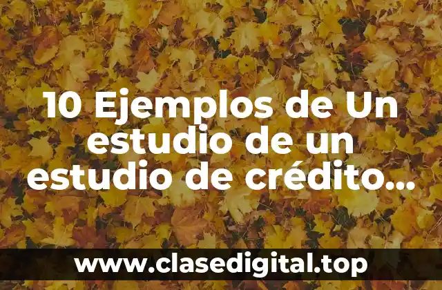 10 Ejemplos de Un estudio de un estudio de crédito bancario