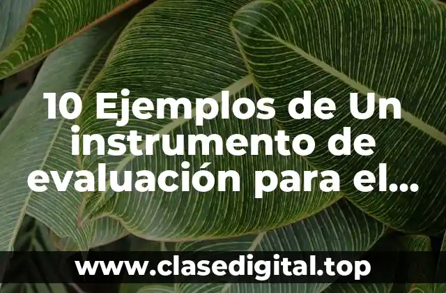 Ejemplos de instrumentos de evaluación para el trabajo social