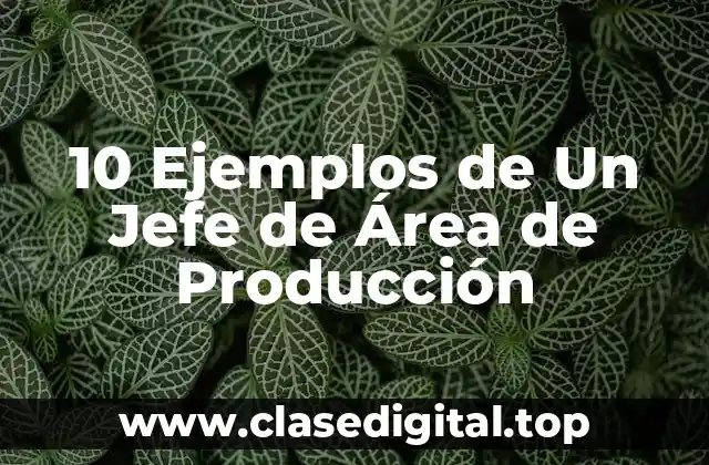 10 Ejemplos de Un Jefe de Área de Producción
