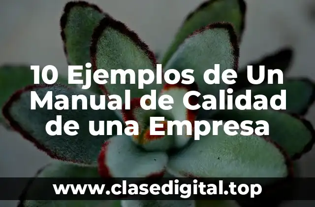 10 Ejemplos de Un Manual de Calidad de una Empresa