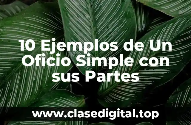 10 Ejemplos de Un Oficio Simple con sus Partes