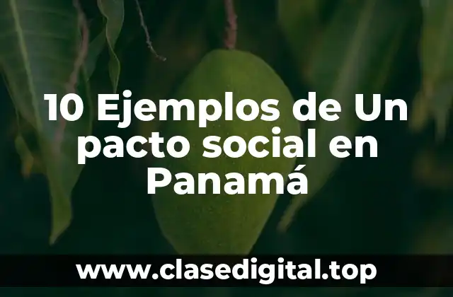 10 Ejemplos de Un pacto social en Panamá